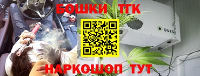 индика Будённовск