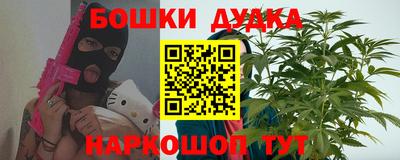 индика Будённовск