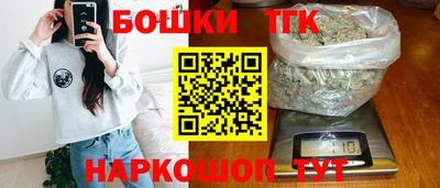 индика Будённовск